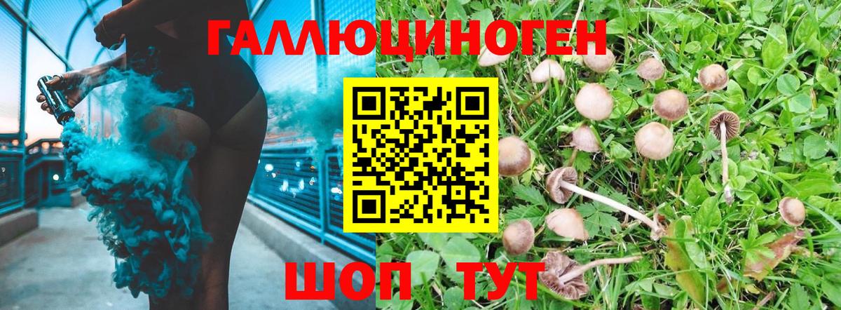 Псилоцибиновые грибы мухоморы Лесозаводск